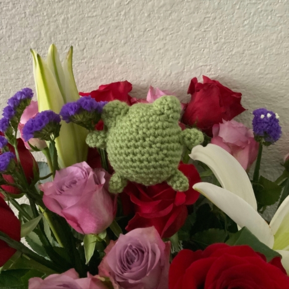 Small green crochet frog friend - Picture 3 of 5